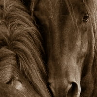 Ремек -дело уметнички галерија horseубовна нежност од Тони Стромберг Канвас Фото уметност Печати 30 40