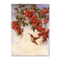 Трговска марка ликовна уметност „Hummingbird e“ Canvas Art by Wanda Mumm
