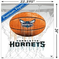 Шарлот Хорнетс - Постери за кошарка за капење, 22.375 34