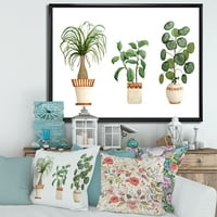 DesignArt 'Trio of House Glands Ficus Ponytail and Palm' Традиционална врамена платно wallидна уметност печатење