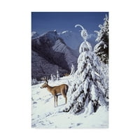 Трговска марка ликовна уметност „Whitetail Deer“ платно уметност од Рон Паркер