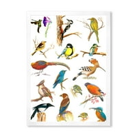 DesignArt „Витална боја на птици платард“ Традиционално врамен уметнички принт